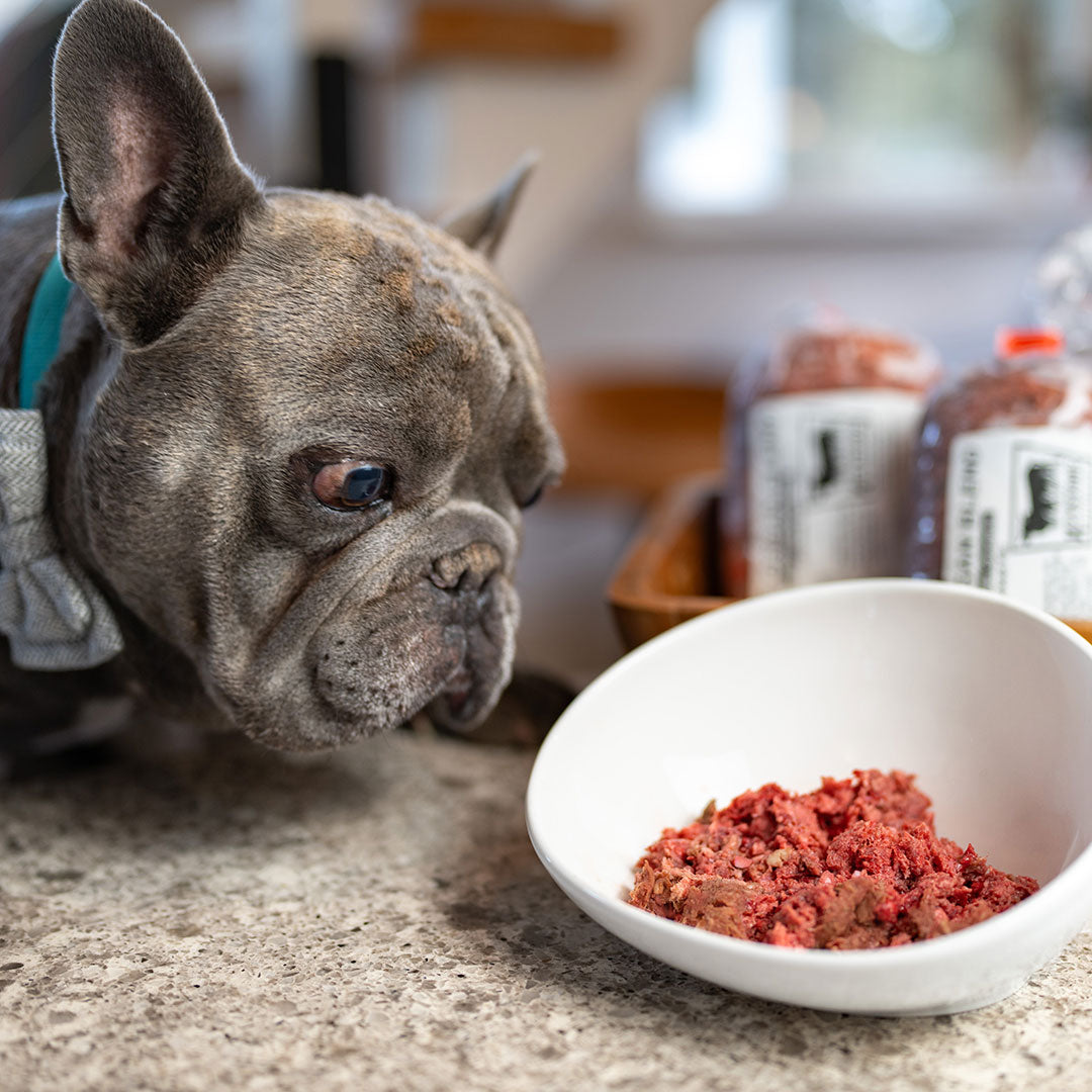 Homemade Food Recipes Raw Dog Food Complete Meals Variety Premium