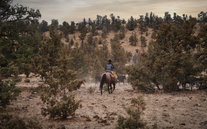 Buying Grass-Fed Beef in Portland, Oregon: Your Guide to Quality & Sustainability