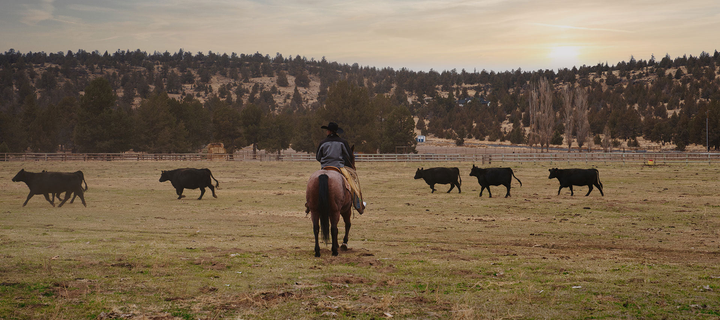 Build your own beef box, grass-fed and finished beef from our Redmond, Oregon family ranch