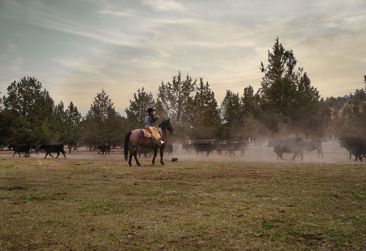 Beef Boxes – Kauboi Ranch