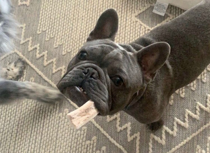 Beef Bones