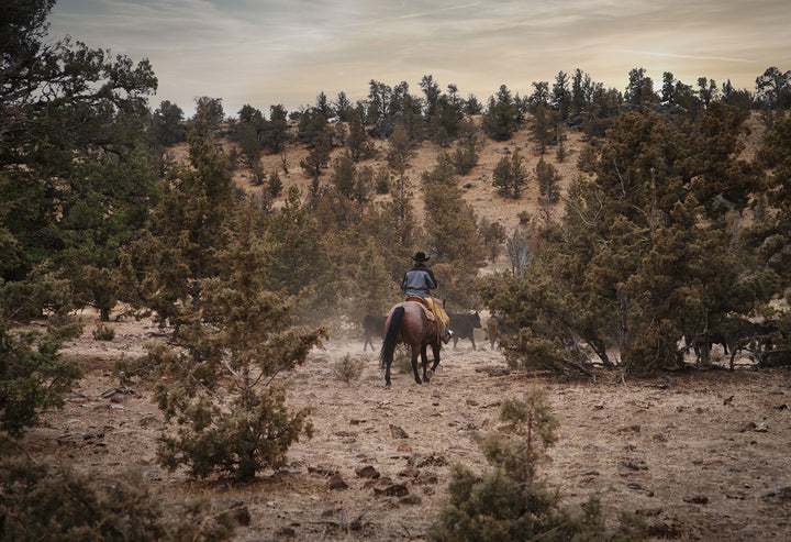 Beef subscription, grass-fed and finished beef from our Redmond, Oregon family ranch